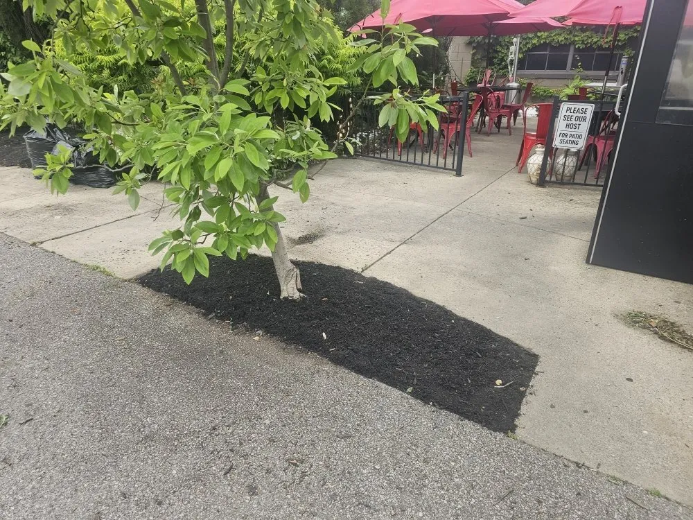 Expert garden landscaping for outdoor upgrades across Columbus, OH - Columbus Lawn Pros