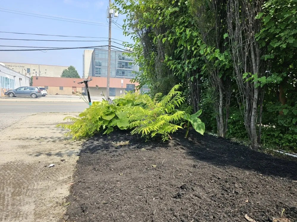 Professional yard cleanup service for homes across Columbus, OH - Columbus Lawn Pros