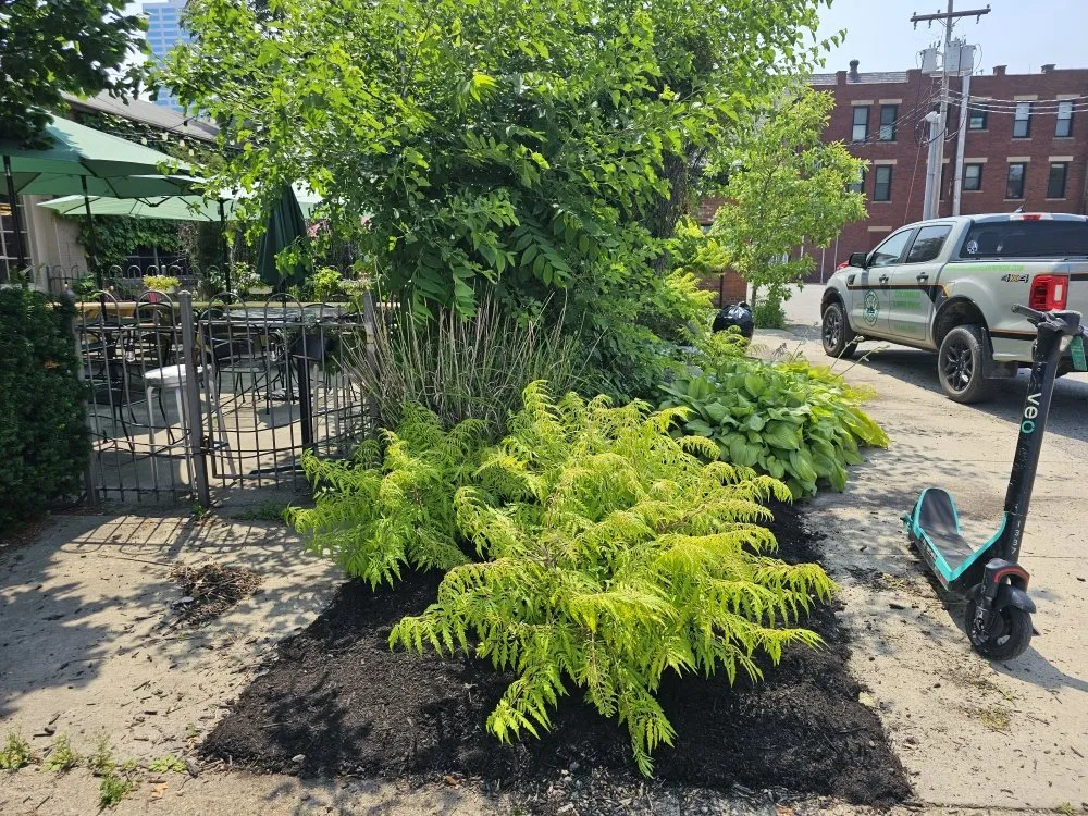 Top-rated yard maintenance in Columbus, OH - Columbus Lawn Pros