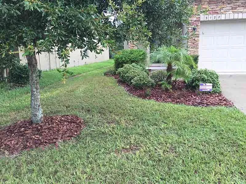 Top-rated yard cleanup service for beautiful yards in Sun City, FL by Colvin Property Maintenance
