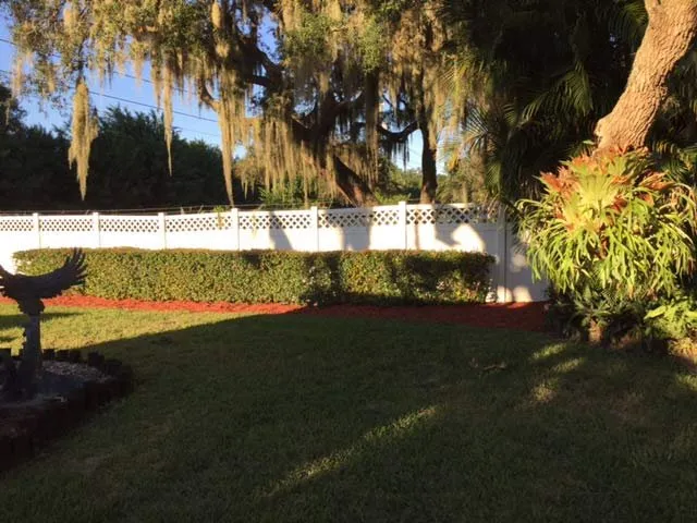 Top-rated lawn care service experts serving Sun City, FL - Colvin Property Maintenance