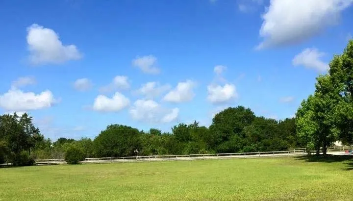 Affordable residential landscaping in Sun City, FL - Colvin Property Maintenance