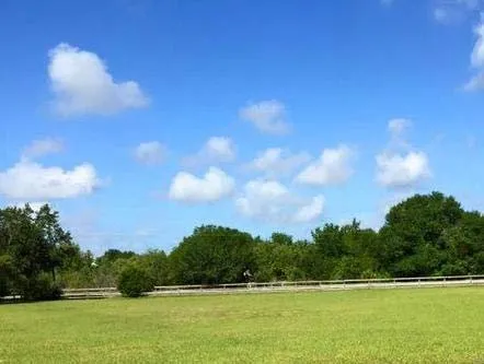 Expert yard maintenance in Sun City, FL - Colvin Property Maintenance