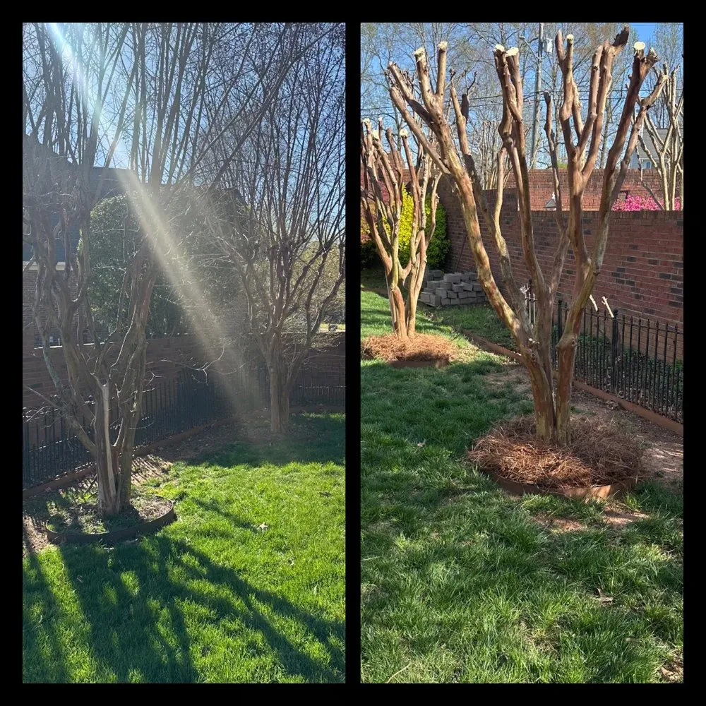 Professional landscape design in Stanley, NC - Colvin's Beautification