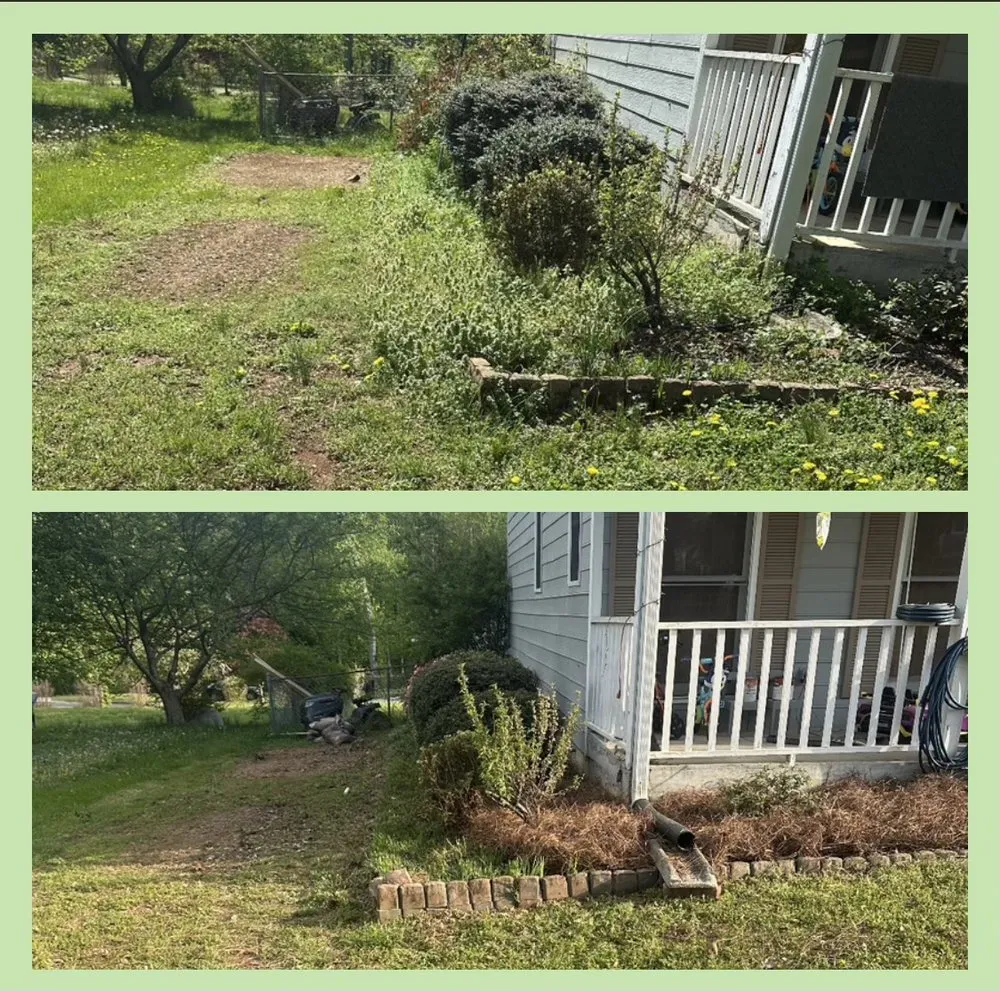 Professional yard cleanup service in Stanley, NC by Colvin's Beautification
