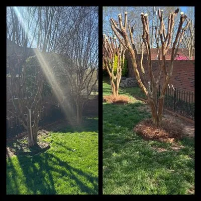 Colvin's Beautification