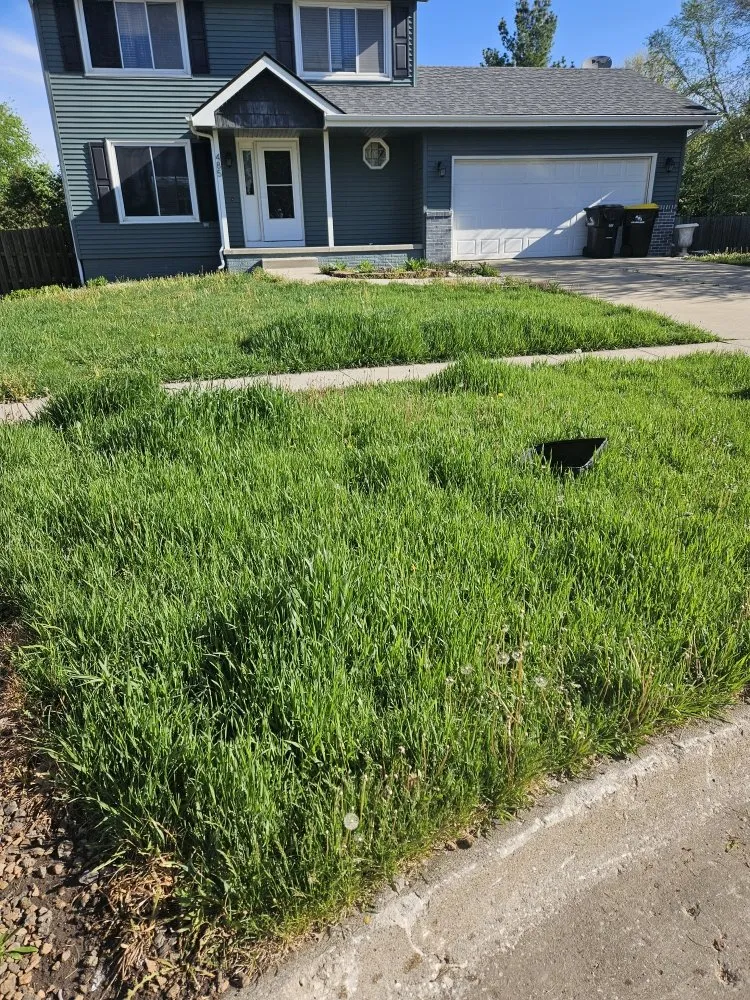 Custom landscape design in Des Moines, IA by Colyn Lawn Care Services