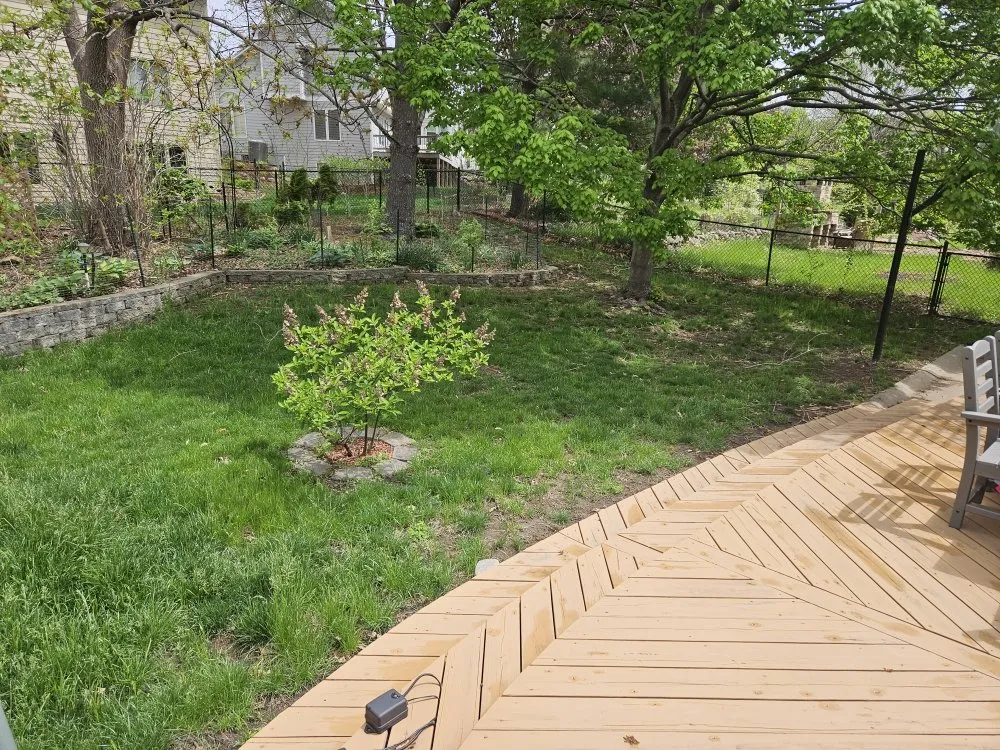 Affordable lawn mowing service experts serving Des Moines, IA - Colyn Lawn Care Services