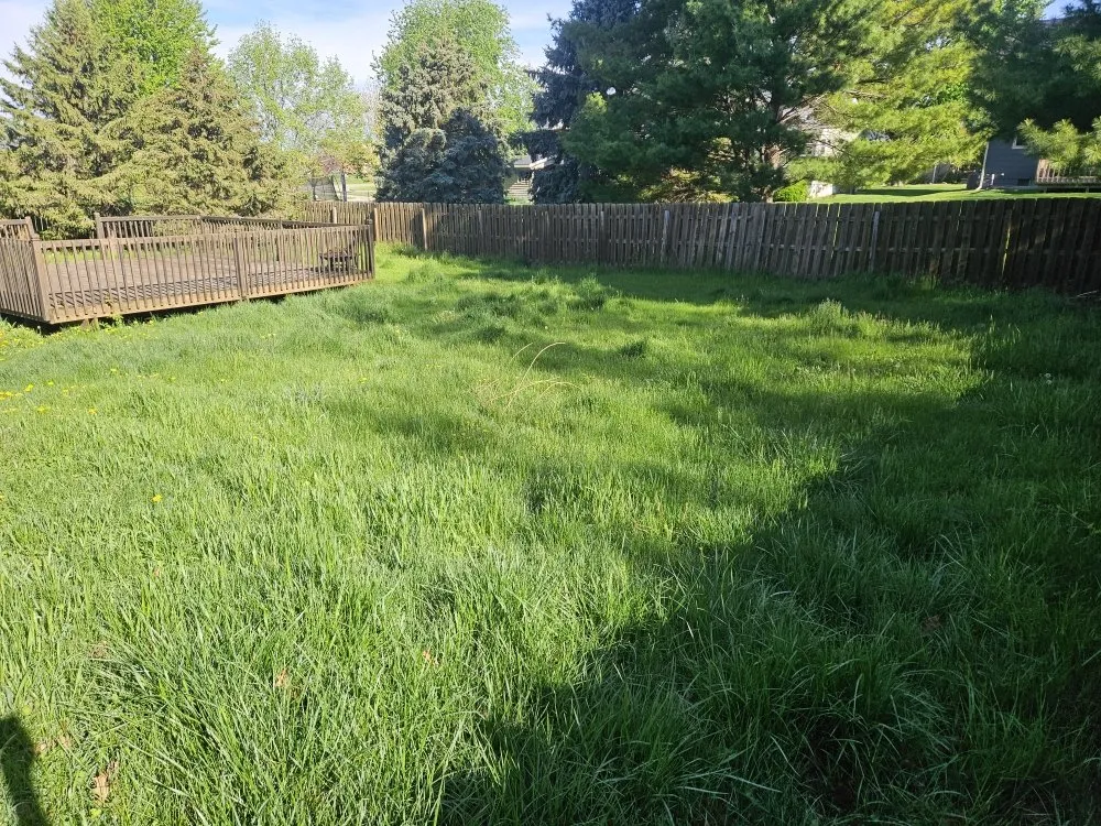 Expert outdoor landscaping for beautiful yards in Des Moines, IA by Colyn Lawn Care Services