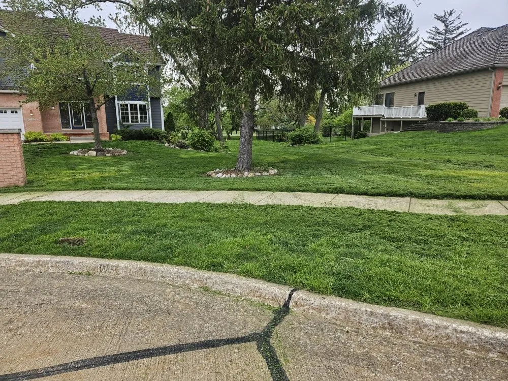 Top-rated lawn mowing service for beautiful yards across Des Moines, IA - Colyn Lawn Care Services