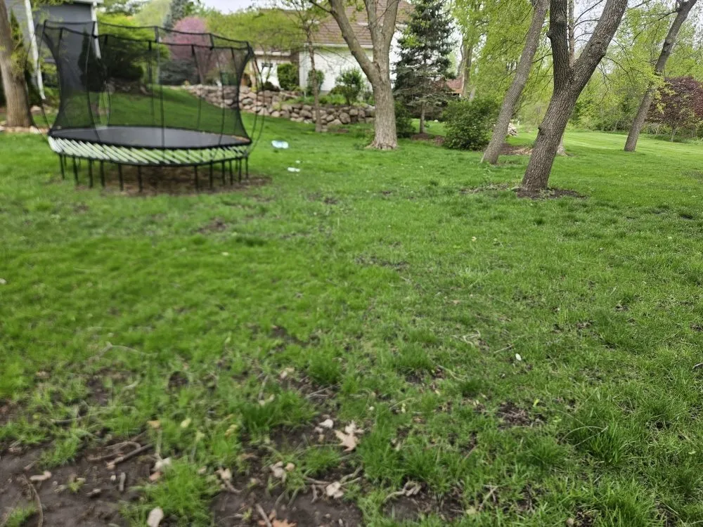 Expert residential landscaping in Des Moines, IA - Colyn Lawn Care Services