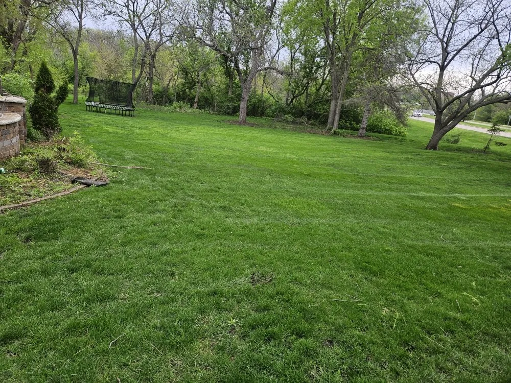Local lawn mowing service for beautiful yards across Des Moines, IA - Colyn Lawn Care Services