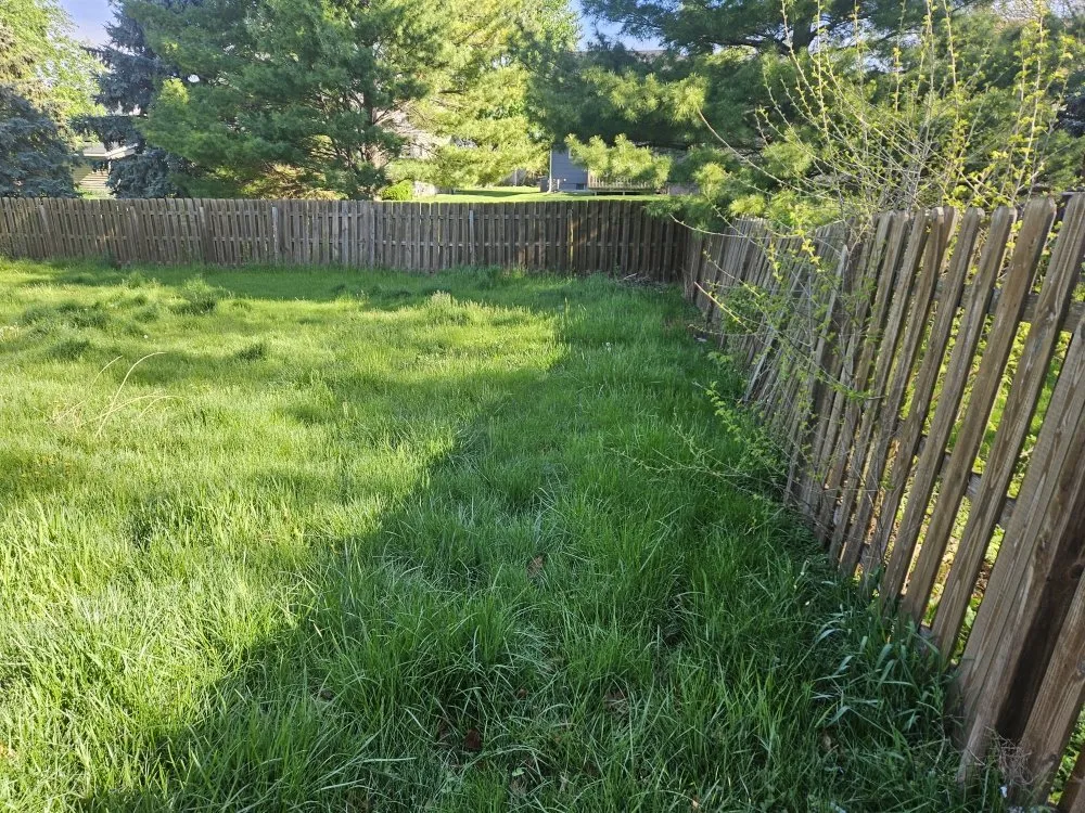 Expert residential landscaping in Des Moines, IA by Colyn Lawn Care Services