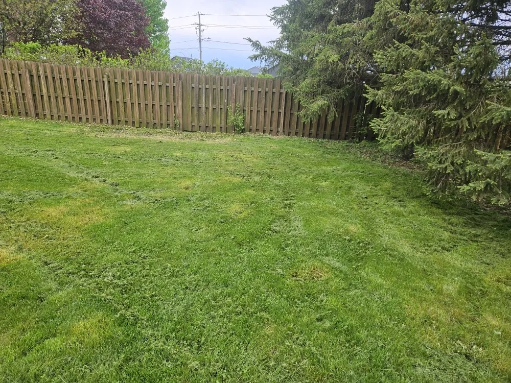 Expert outdoor landscaping experts serving Des Moines, IA - Colyn Lawn Care Services