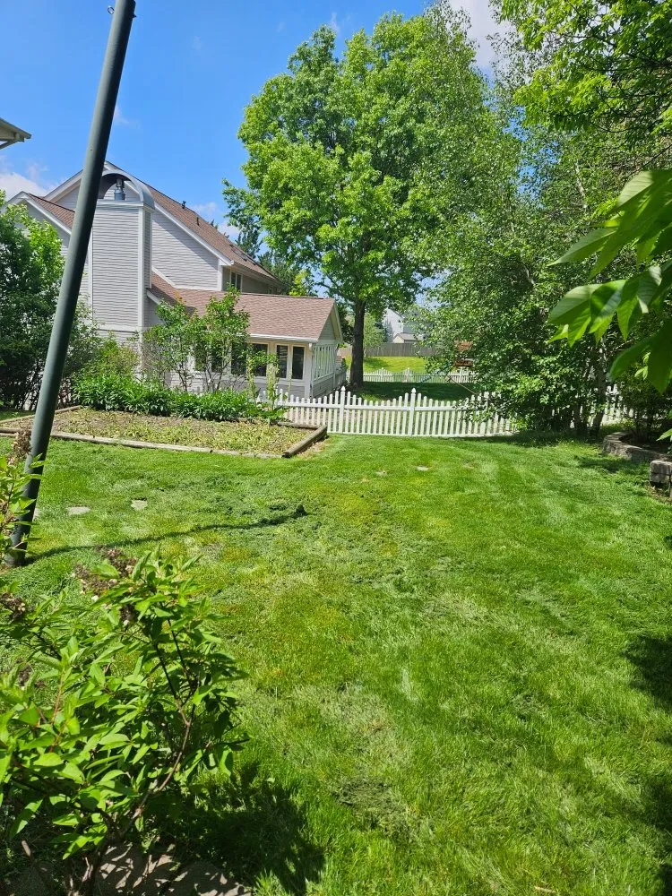 Local lawn mowing service in Des Moines, IA - Colyn Lawn Care Services