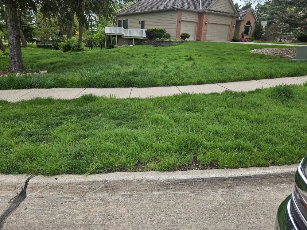 Local outdoor landscaping in Des Moines, IA by Colyn Lawn Care Services