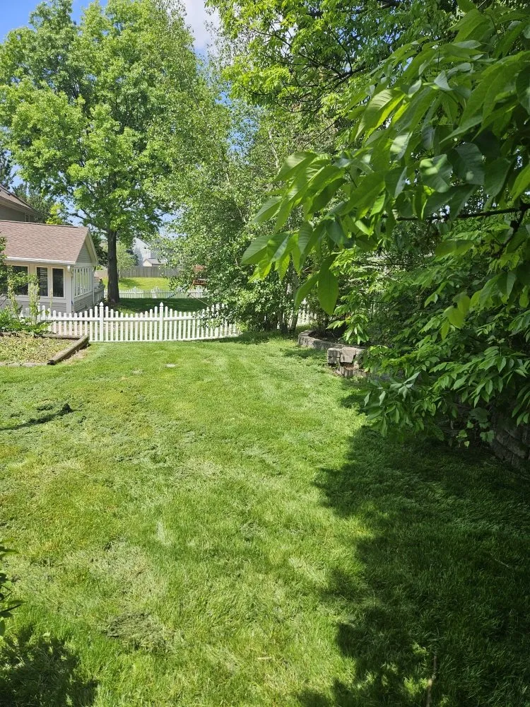 Expert landscape installation experts serving Des Moines, IA - Colyn Lawn Care Services