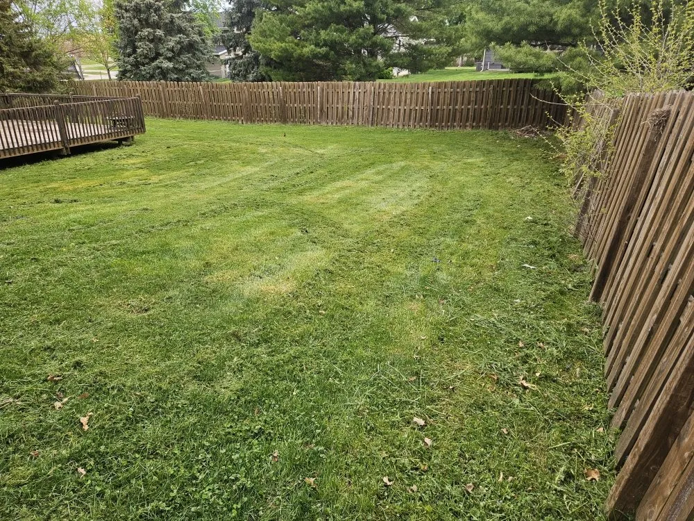 Trusted landscaping services in Des Moines, IA by Colyn Lawn Care Services