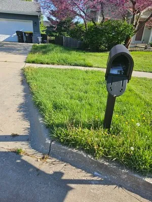 Colyn Lawn Care Services Logo