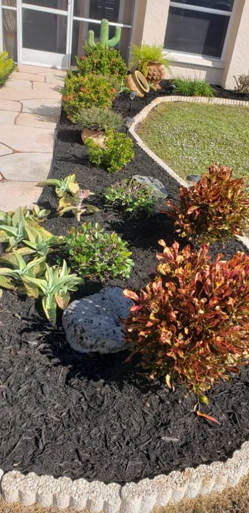 Trusted landscape installation experts serving Sarasota, FL - Combat Lawn Care