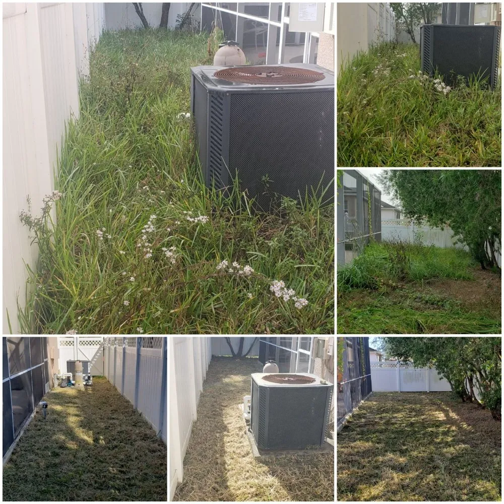 Professional garden landscaping for homes across Sarasota, FL - Combat Lawn Care
