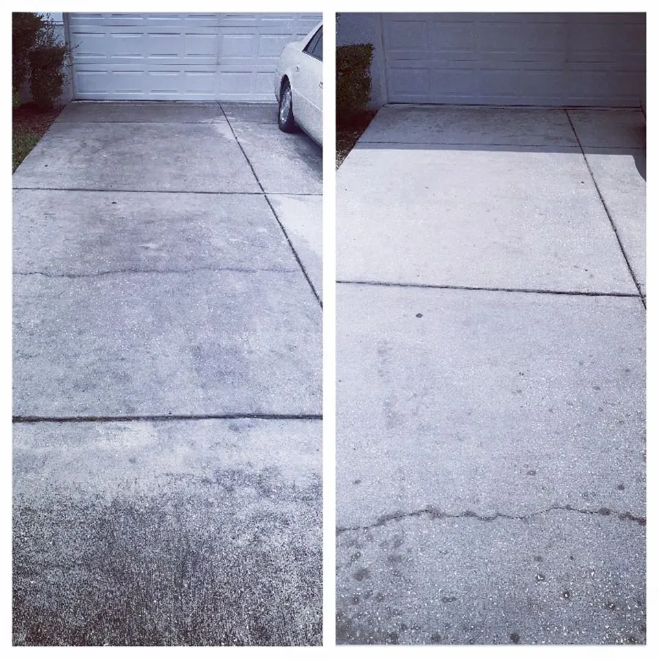 Expert landscape design experts serving Land O Lakes, FL - Combat Veteran Landscaping