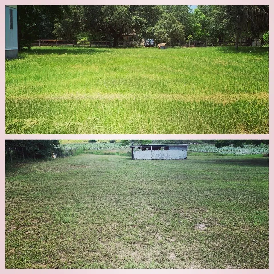 Trusted landscaping services in Land O Lakes, FL - Combat Veteran Landscaping