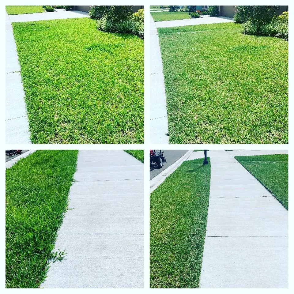 Custom yard cleanup service in Land O Lakes, FL by Combat Veteran Landscaping