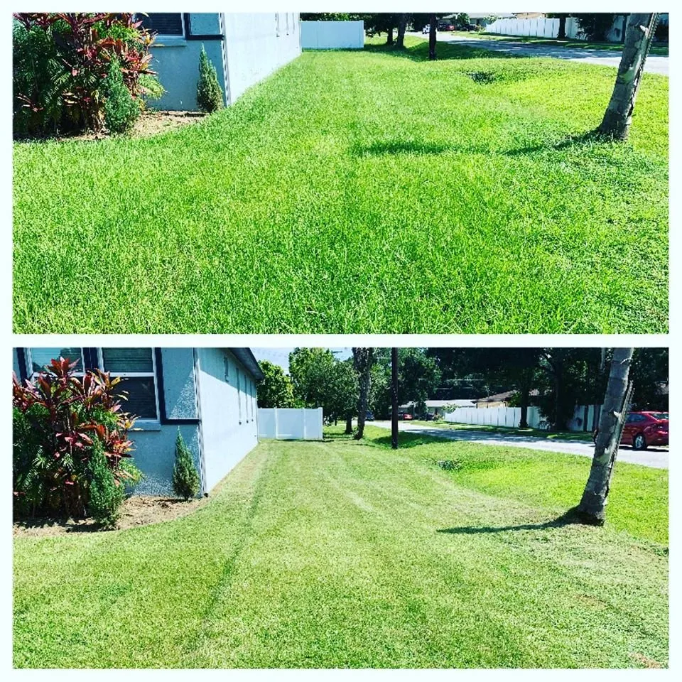 Top-rated landscape design in Land O Lakes, FL by Combat Veteran Landscaping