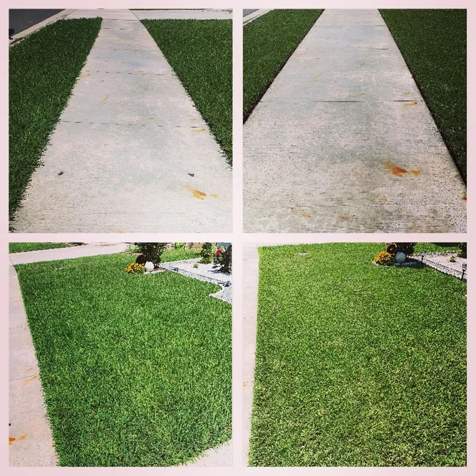 Custom outdoor landscaping experts serving Land O Lakes, FL - Combat Veteran Landscaping