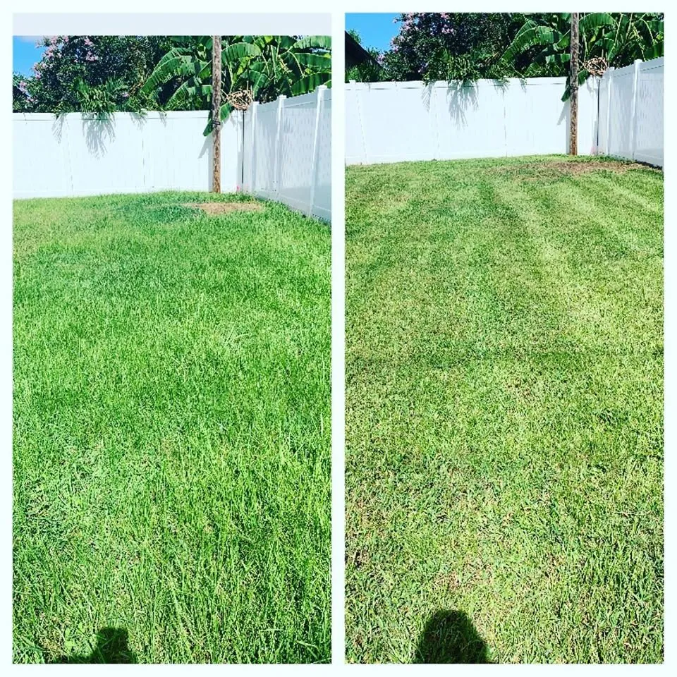 Custom yard cleanup service experts serving Land O Lakes, FL - Combat Veteran Landscaping
