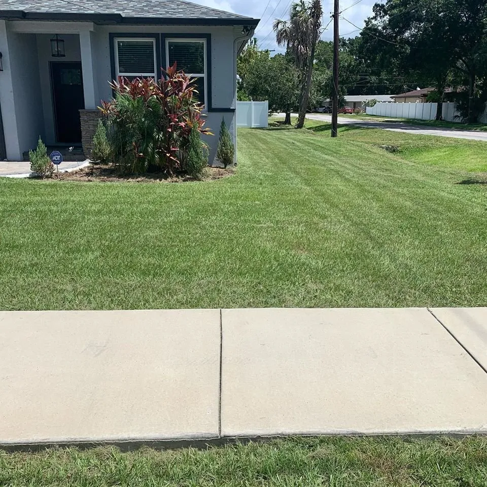 Trusted yard maintenance for beautiful yards across Land O Lakes, FL - Combat Veteran Landscaping