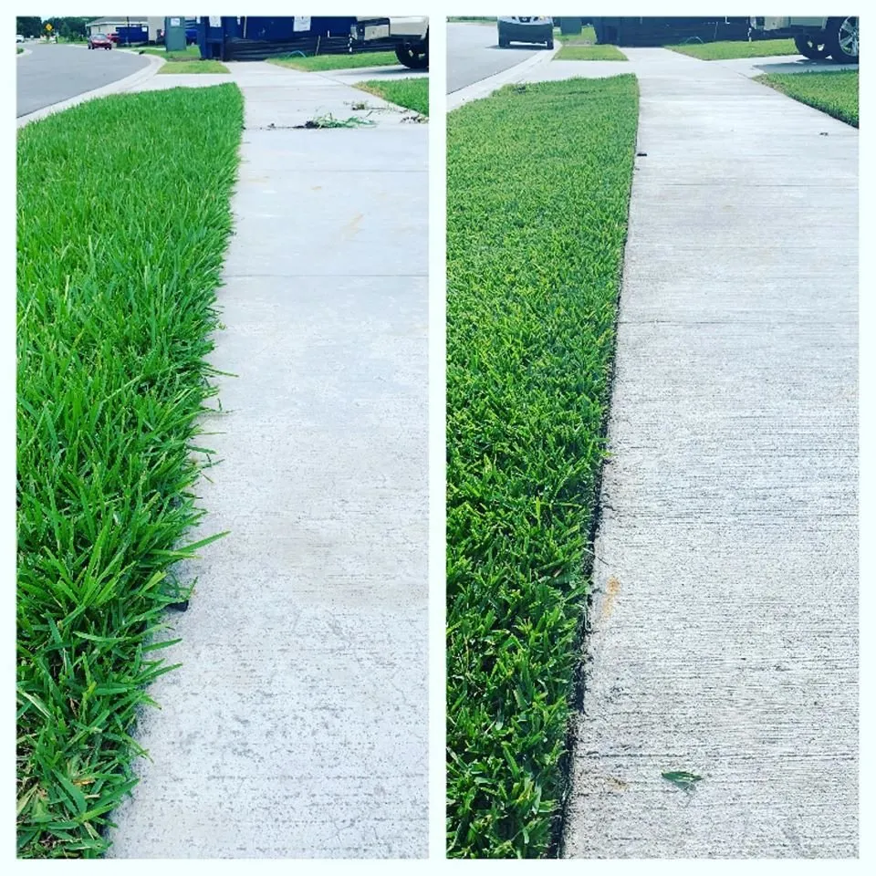 Top-rated landscape installation for beautiful yards across Land O Lakes, FL - Combat Veteran Landscaping