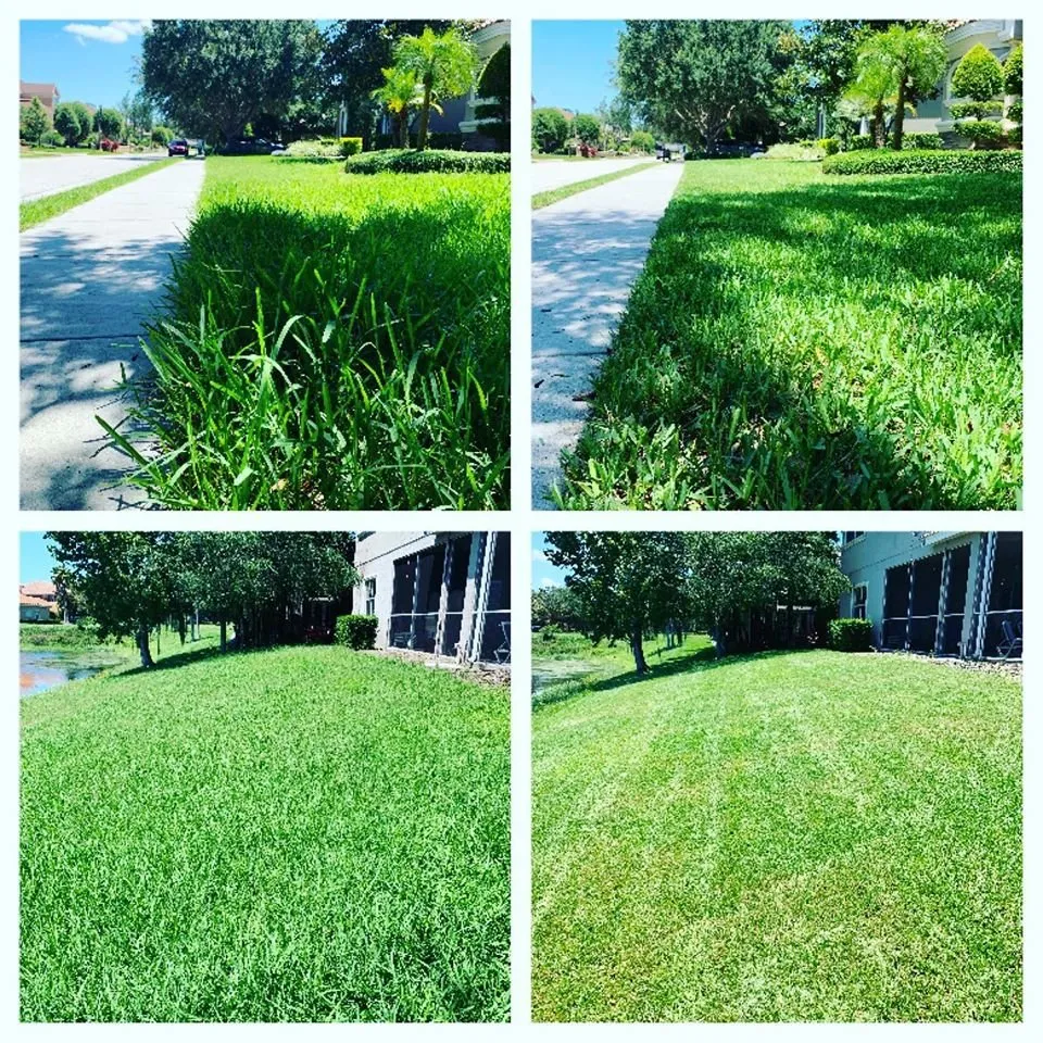 Affordable yard maintenance in Land O Lakes, FL by Combat Veteran Landscaping