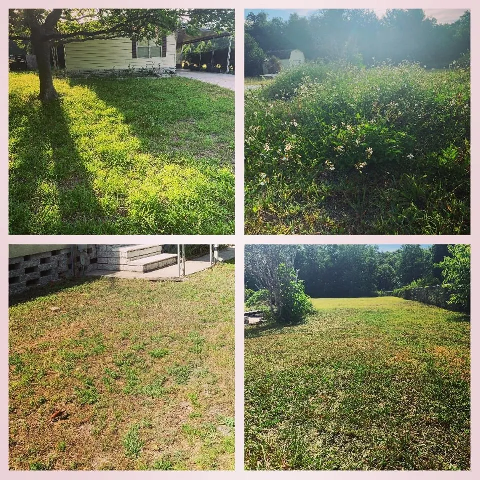 Expert yard maintenance with custom design in Land O Lakes, FL by Combat Veteran Landscaping