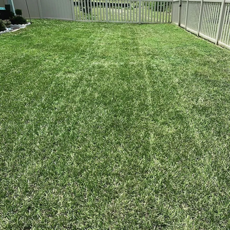 Reliable residential landscaping for year-round maintenance across Land O Lakes, FL - Combat Veteran Landscaping