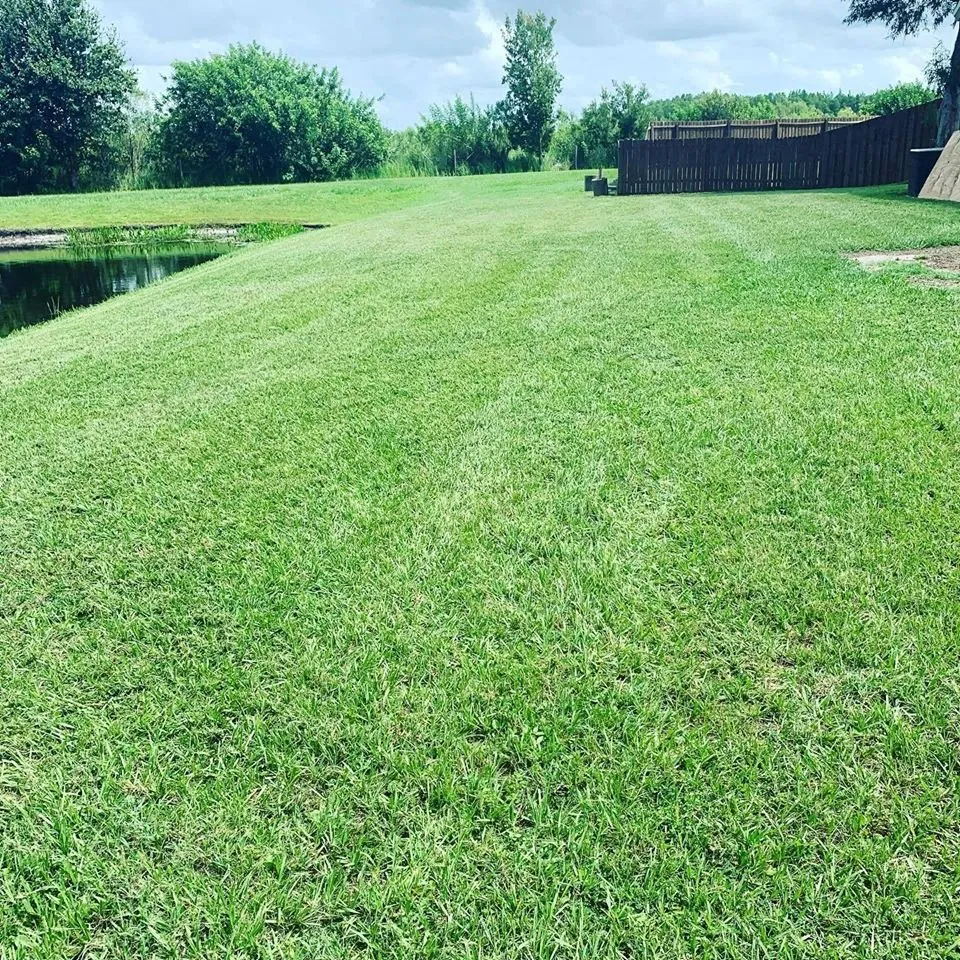 Expert lawn mowing service experts serving Land O Lakes, FL - Combat Veteran Landscaping