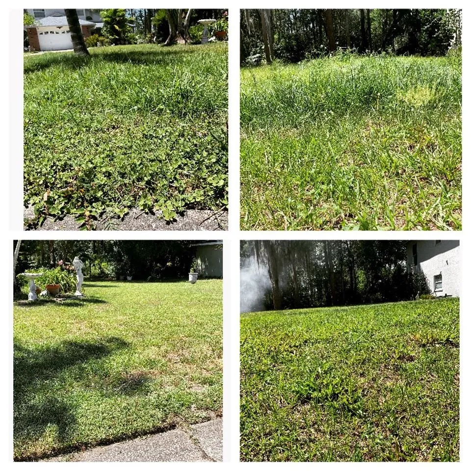 Reliable lawn care service in Land O Lakes, FL - Combat Veteran Landscaping