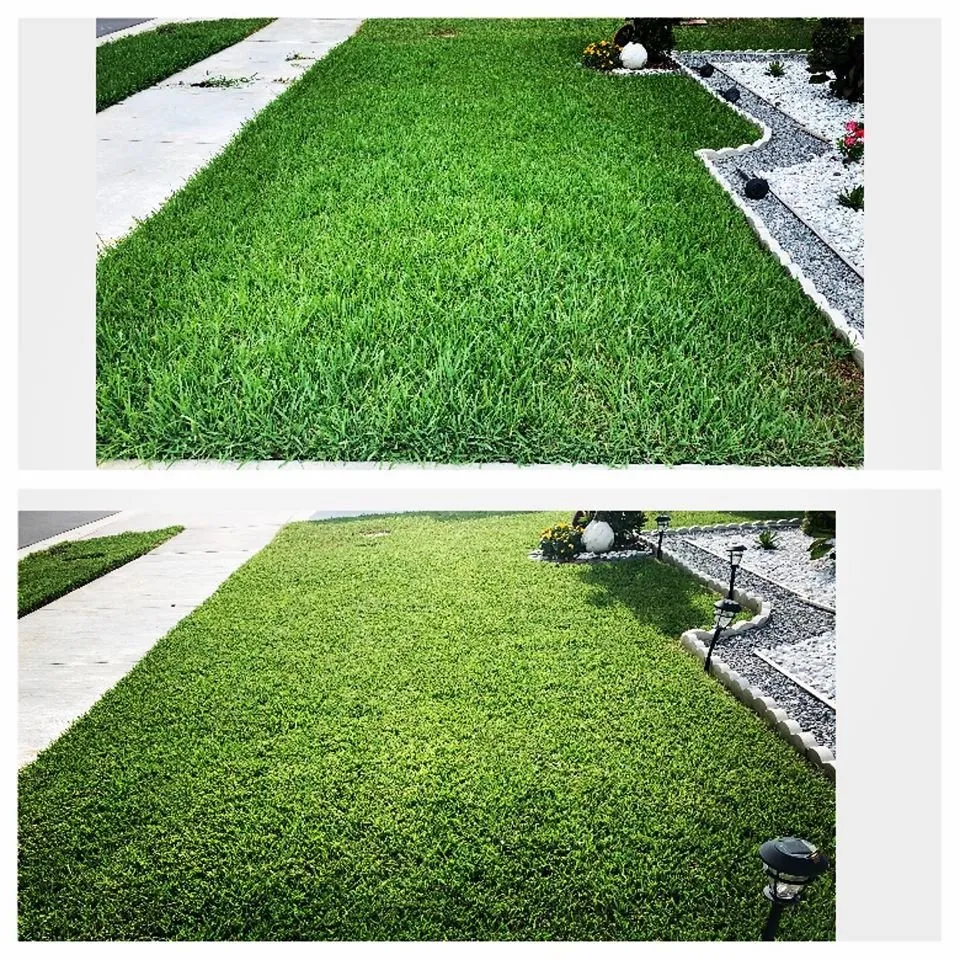 Expert yard maintenance in Land O Lakes, FL - Combat Veteran Landscaping