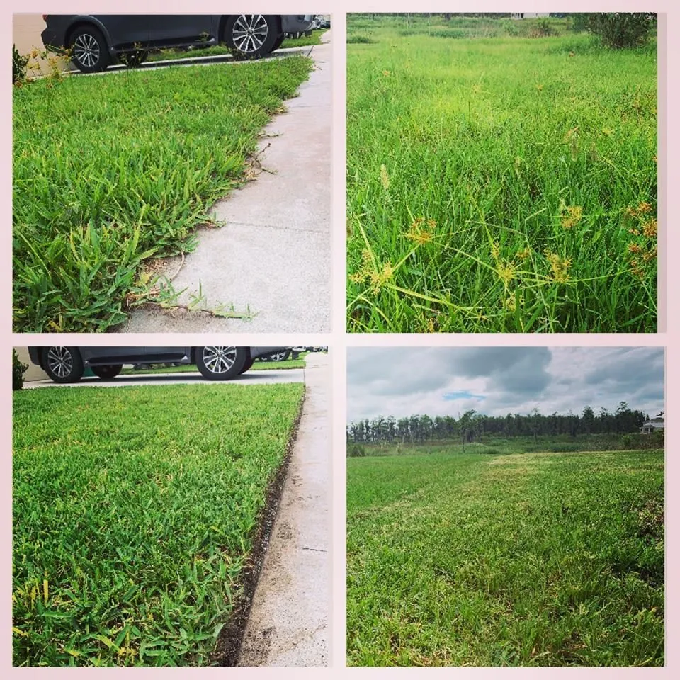 Reliable landscape installation in Land O Lakes, FL - Combat Veteran Landscaping