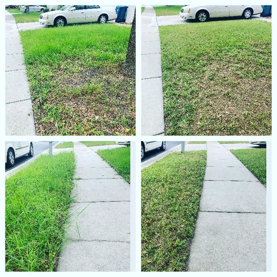 Reliable landscaping services experts serving Land O Lakes, FL - Combat Veteran Landscaping