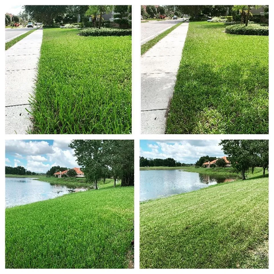 Expert landscape design in Land O Lakes, FL by Combat Veteran Landscaping