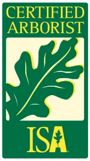 Professional yard maintenance in Carbondale, KS by Combes Lawn and Landscape