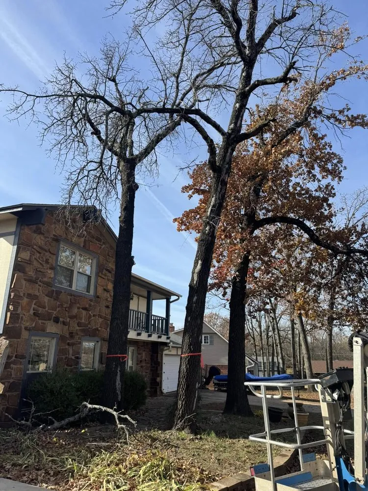 Expert outdoor landscaping in Cushing, OK - Combs Tree Service