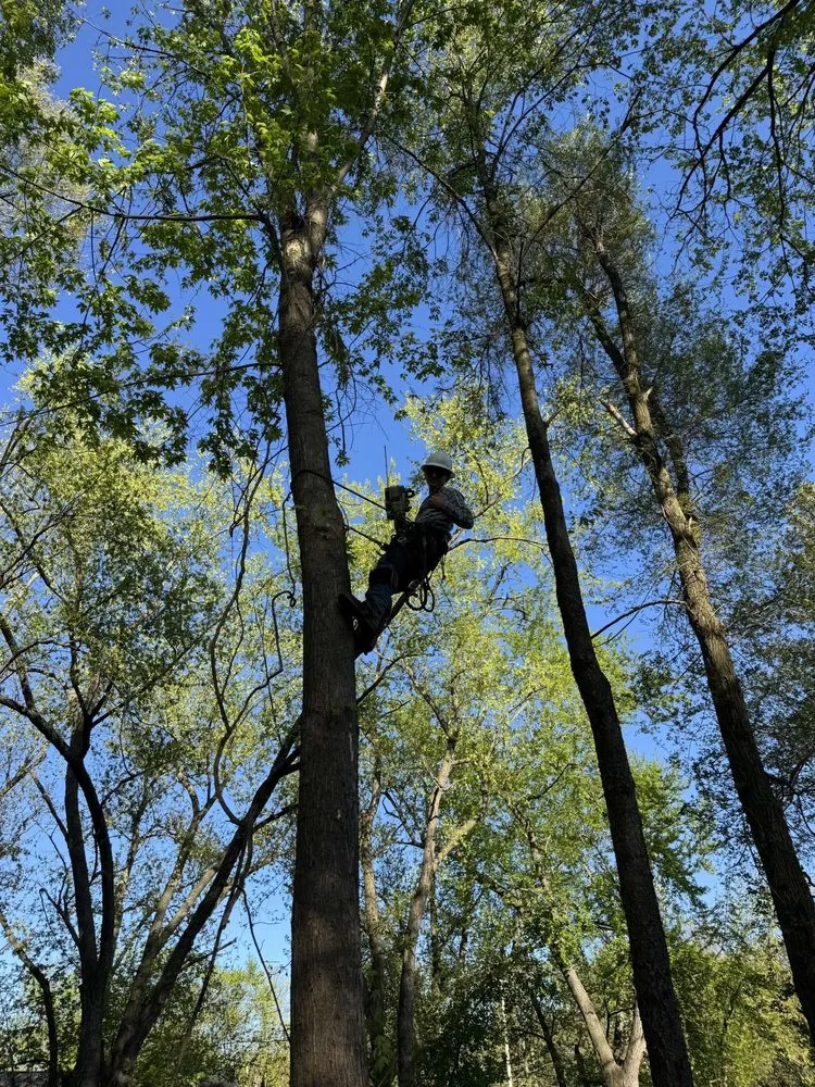 Expert landscaping services experts serving Commerce Township, MI - Comex Contracting