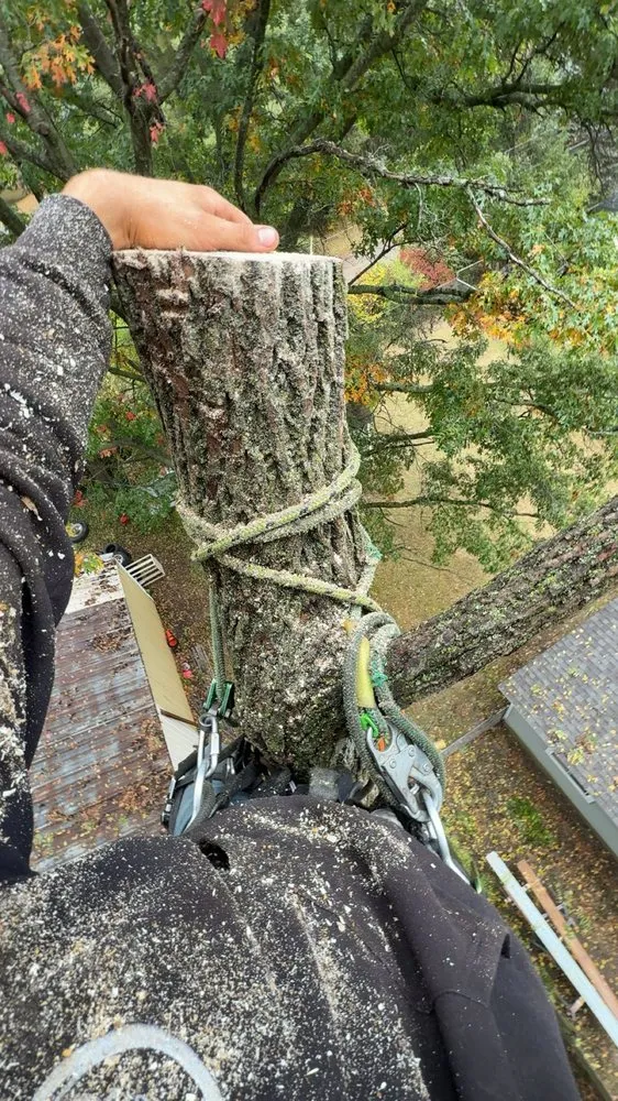 Expert lawn mowing service for beautiful yards in Commerce Township, MI by Comex Contracting