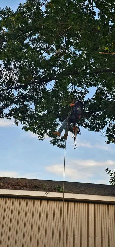 Trusted yard maintenance in Commerce Township, MI by Comex Contracting