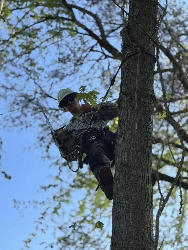 Expert outdoor landscaping in Commerce Township, MI - Comex Contracting