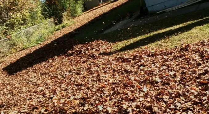 Custom landscape design for beautiful yards in Jacksonville, NC by Comfort & Beauty Home Services