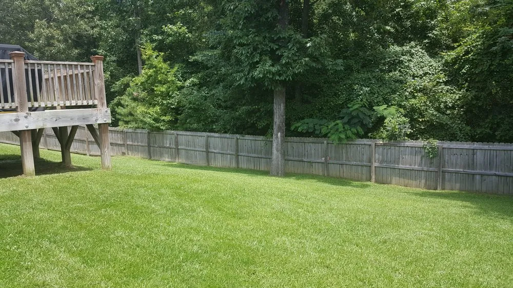 Affordable yard cleanup service experts serving Jacksonville, NC - Comfort & Beauty Home Services